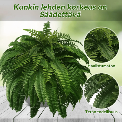 𝑉𝑂𝐶𝐽𝐹𝐸𝐼™🌿𝑉𝑖𝑖𝑚𝑒𝑖𝑛𝑒𝑛 𝑝ä𝑖𝑣ä 75% 𝑃𝑂𝐼𝑆--𝑈𝑉 𝑘𝑒𝑠𝑡ä𝑣ä 𝐿𝑖𝑓𝑒𝑙𝑖𝑘𝑒 𝐾𝑒𝑖𝑛𝑜𝑡𝑒𝑘𝑜𝑖𝑛𝑒𝑛 𝐵𝑜𝑠𝑡𝑜𝑛 𝐹𝑒𝑟𝑛