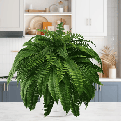 𝑉𝑂𝐶𝐽𝐹𝐸𝐼™🌿𝑉𝑖𝑖𝑚𝑒𝑖𝑛𝑒𝑛 𝑝ä𝑖𝑣ä 75% 𝑃𝑂𝐼𝑆--𝑈𝑉 𝑘𝑒𝑠𝑡ä𝑣ä 𝐿𝑖𝑓𝑒𝑙𝑖𝑘𝑒 𝐾𝑒𝑖𝑛𝑜𝑡𝑒𝑘𝑜𝑖𝑛𝑒𝑛 𝐵𝑜𝑠𝑡𝑜𝑛 𝐹𝑒𝑟𝑛