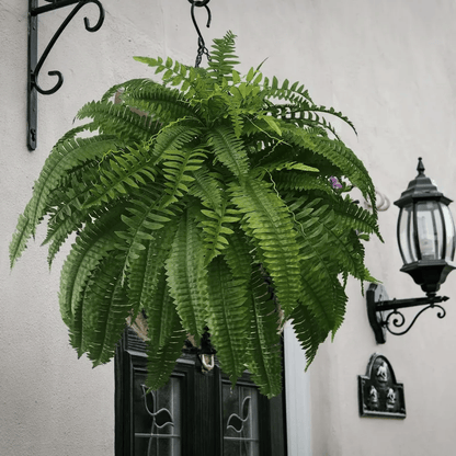 𝑉𝑂𝐶𝐽𝐹𝐸𝐼™🌿𝑉𝑖𝑖𝑚𝑒𝑖𝑛𝑒𝑛 𝑝ä𝑖𝑣ä 75% 𝑃𝑂𝐼𝑆--𝑈𝑉 𝑘𝑒𝑠𝑡ä𝑣ä 𝐿𝑖𝑓𝑒𝑙𝑖𝑘𝑒 𝐾𝑒𝑖𝑛𝑜𝑡𝑒𝑘𝑜𝑖𝑛𝑒𝑛 𝐵𝑜𝑠𝑡𝑜𝑛 𝐹𝑒𝑟𝑛