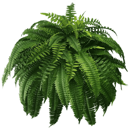 𝑉𝑂𝐶𝐽𝐹𝐸𝐼™🌿𝑉𝑖𝑖𝑚𝑒𝑖𝑛𝑒𝑛 𝑝ä𝑖𝑣ä 75% 𝑃𝑂𝐼𝑆--𝑈𝑉 𝑘𝑒𝑠𝑡ä𝑣ä 𝐿𝑖𝑓𝑒𝑙𝑖𝑘𝑒 𝐾𝑒𝑖𝑛𝑜𝑡𝑒𝑘𝑜𝑖𝑛𝑒𝑛 𝐵𝑜𝑠𝑡𝑜𝑛 𝐹𝑒𝑟𝑛